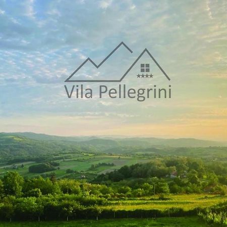 Vila Pellegrini 아란젤로바츠 외부 사진