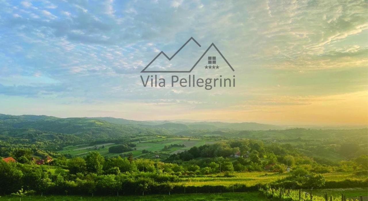 Vila Pellegrini 아란젤로바츠 외부 사진
